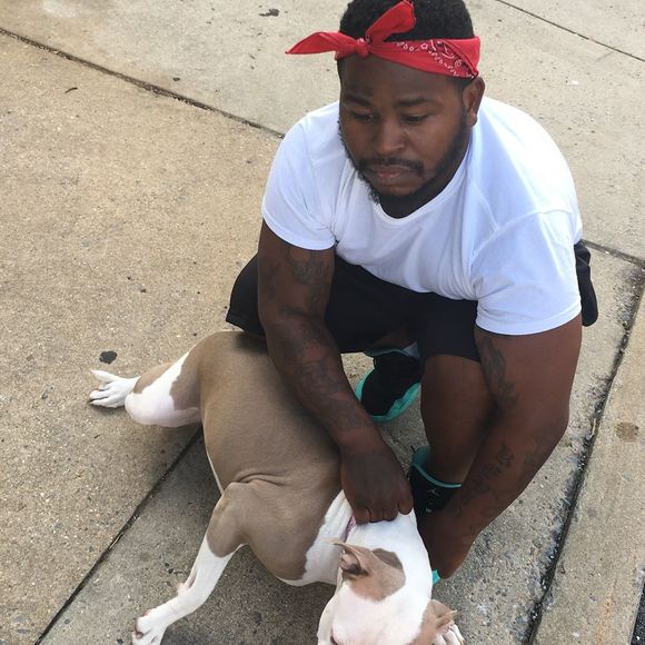 Meet your Posher, Damu - Picture 1 of 1